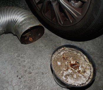 Daran - Endorphine Image 1