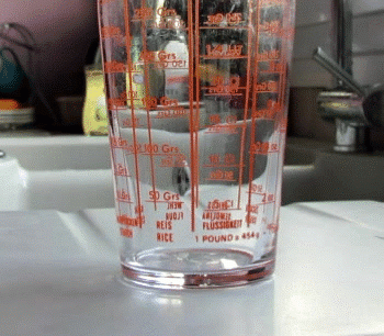 I Am Stramgram - Tentacles Image 1