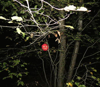 Emilie Zoé - The very start Image 1