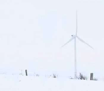 Pomme - Les failles Image 1