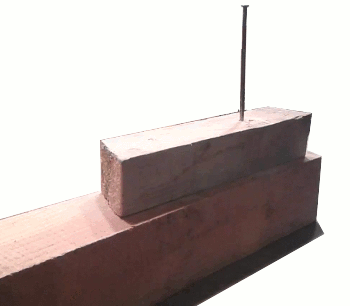 Livingstone - Turn bizarre Image 1