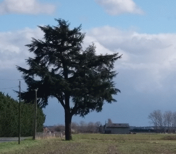 Verdée - Dans Nos Pas Image 1