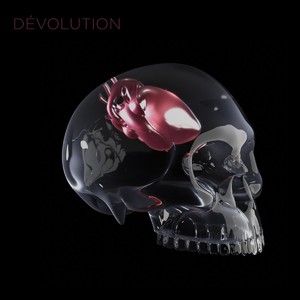 Michel Françoise - Dévolution (le n'album) Image 1