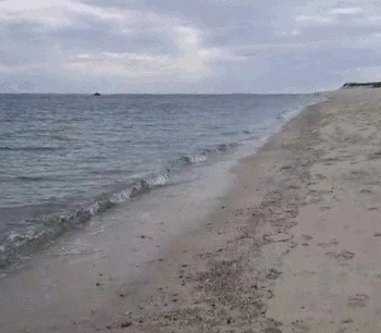 Loverman - Lovesongs Image 1