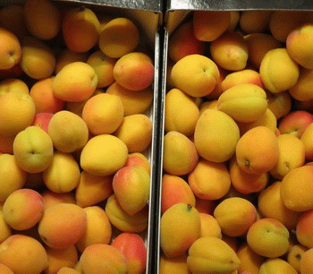 Manu - La vérité Image 1